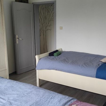 Appartement Les Mirabelles Entre Strasbourg Et Haguenau Bischwiller 외부 사진