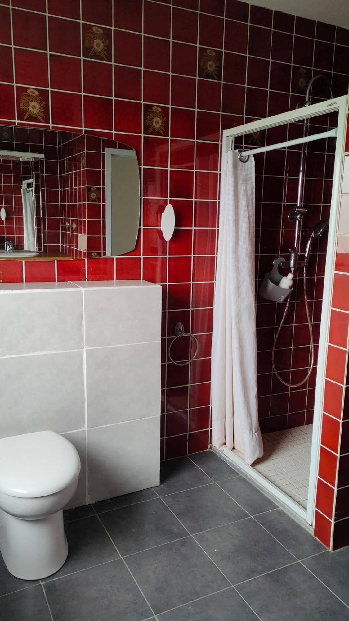 Appartement Les Mirabelles Entre Strasbourg Et Haguenau Bischwiller 외부 사진